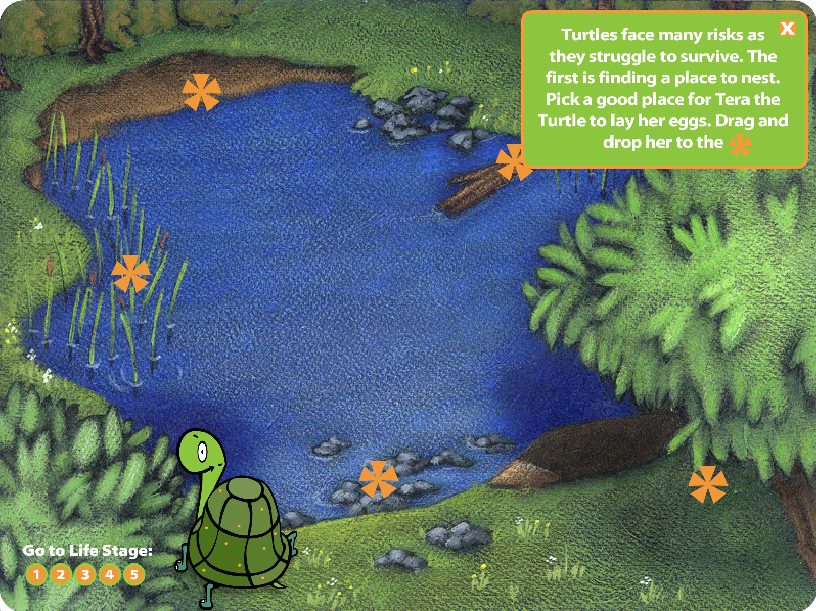 Animated Turtle Game