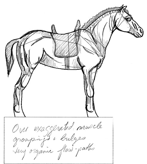 Design of horse musculature