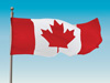 Canadian Flag Vector Illustration